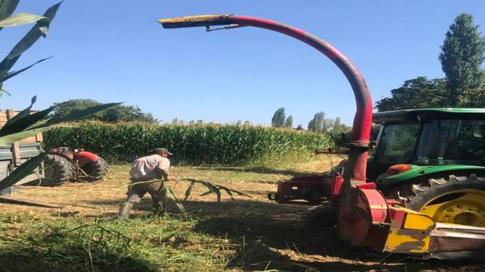 Manisa Sarıgöl'de Silajlık Mısır Hasadı Başladı