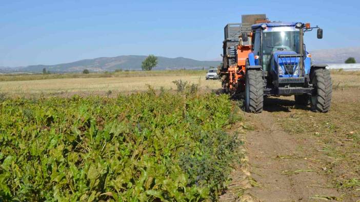 Burdur'da şeker pancarı hasadı devam ediyor