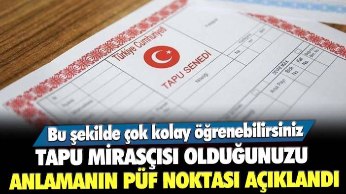 Tapu mirasçısı olduğunuzu anlamanın püf noktası açıklandı: Bu şekilde çok kolay öğrenebilirsiniz