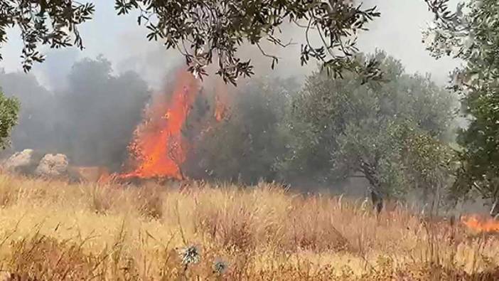 Antalya'da orman yangını