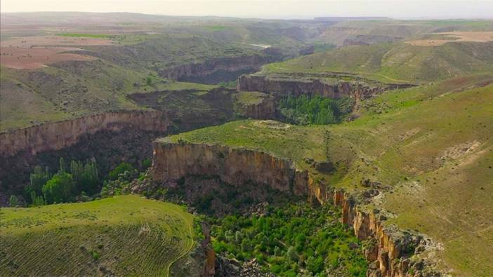 Ihlara Vadisi'ndeki bitki ve hayvan türleri kayıt altına alındı