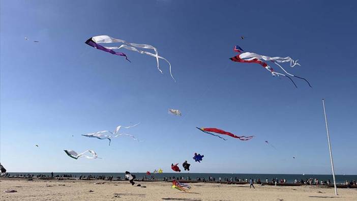 Hollanda'da uçurtma festivali düzenlendi