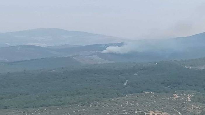 Manisa’da orman yangını!