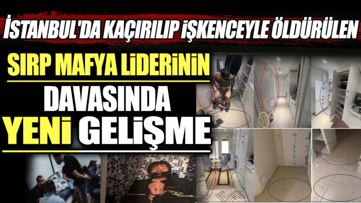 İstanbul'da kaçırılıp işkenceyle öldürülen Sırp mafya liderinin davasında yeni gelişme