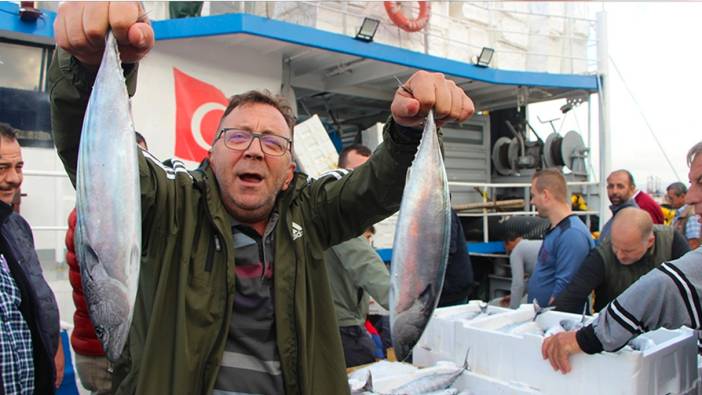 Bandırma'da balık bolluğu yaşanıyor