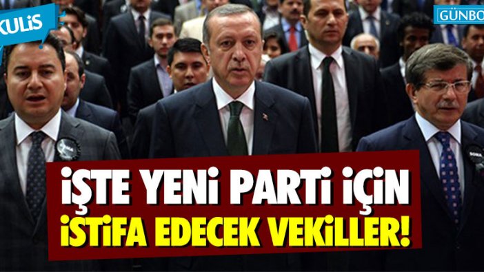 Ali Babacan ve Ahmet Davutoğlu'nun partisi için istifa edecek vekiller