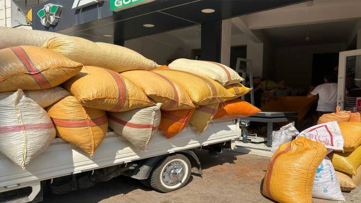 Fındık üreticileri fiyatların yükselmesini bekliyor