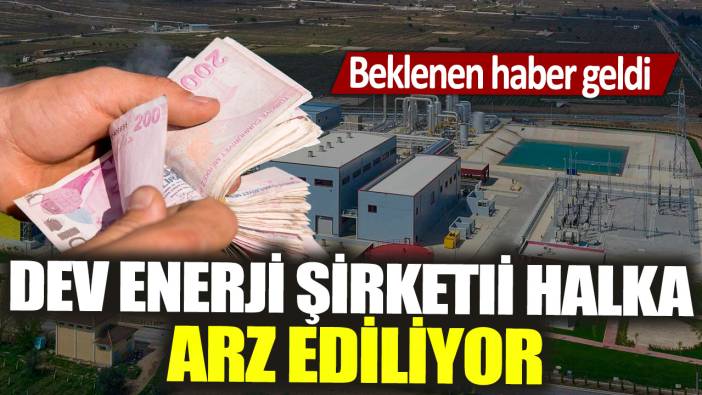 Dev enerji şirketi halka arz ediliyor: Beklenen haber geldi