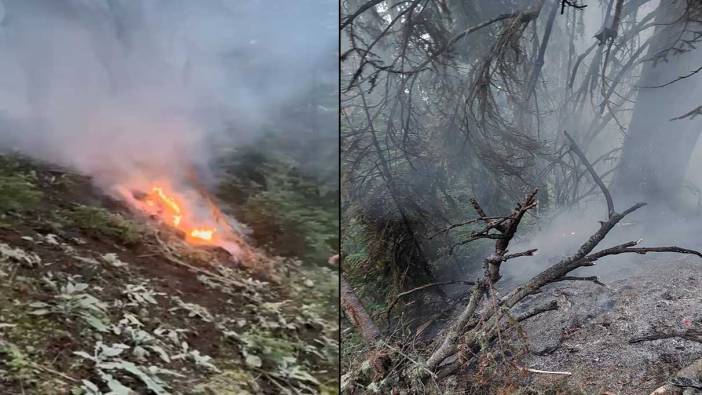 Artvin’de yıldırım sonrası orman yangını!