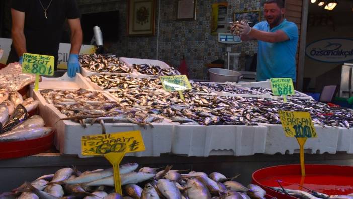 Trabzon'da hamsi fiyatları düşüyor, talep artıyor