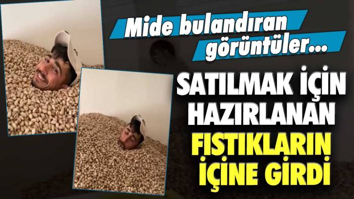 Mide bulandıran görüntüler…Satılmak için hazırlanan fıstıkların içine girdi