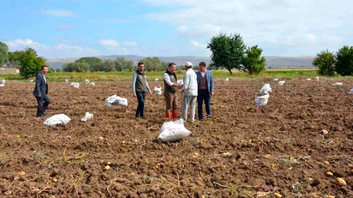 Afyonkarahisar'da patates üretimi başladı