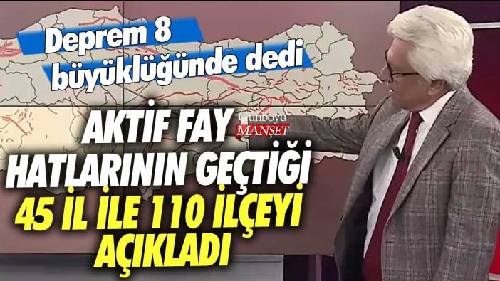 Deprem 8 büyüklüğünde dedi! Aktif fay hatlarının geçtiği 45 il ile 110 ilçeyi açıkladı