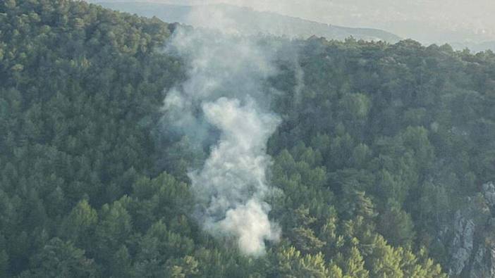 Kahramanmaraş'ta ormanlık alanda yangın