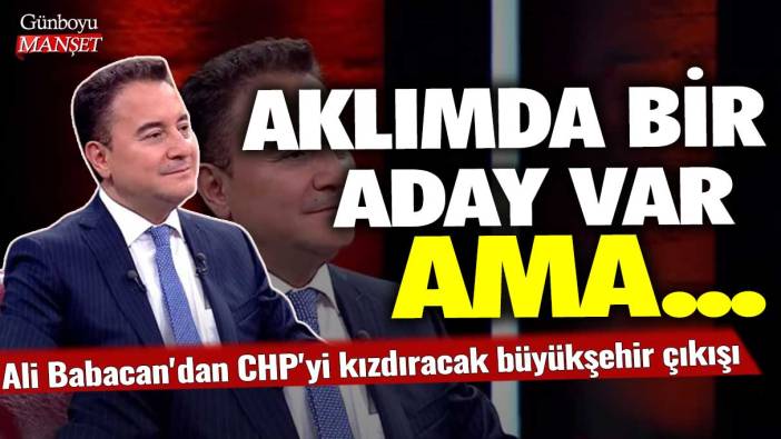 Ali Babacan'dan CHP'yi kızdıracak büyükşehir çıkışı: Aklımda aday var ama