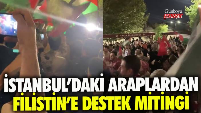 İstanbul'daki Araplardan Filistin'e destek mitingi