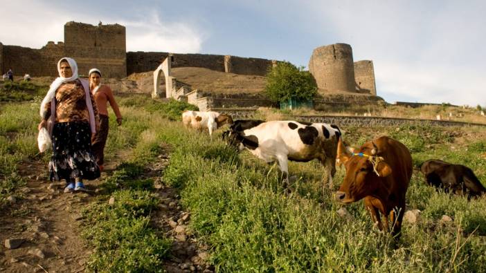 Hayvancılık sektörünü sevindiren gelişme