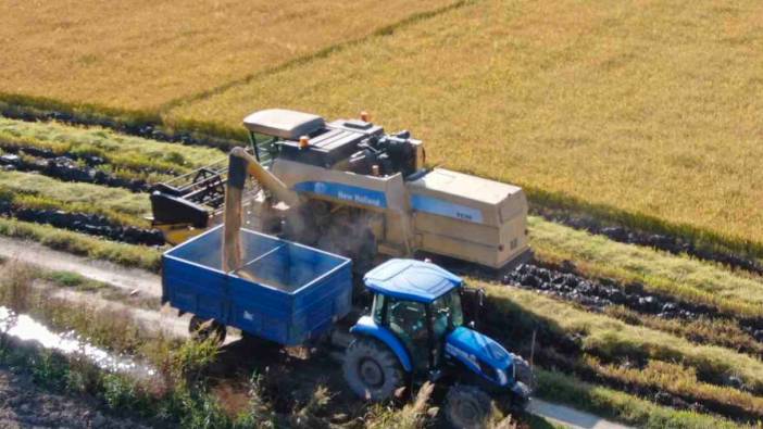 ‘Beyaz altın’ çeltikte hasat gecikmeli olarak başladı