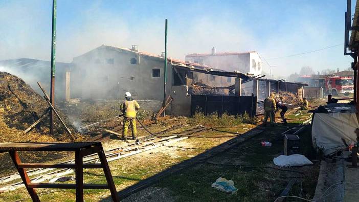 Silivri'de bir çiftlikte çıkan yangın söndürüldü