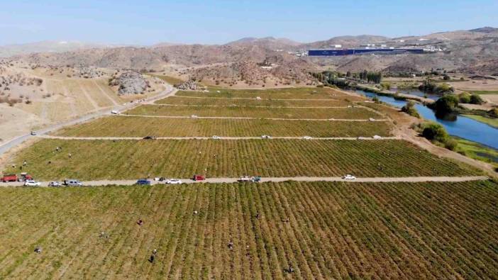 Belediyeden anons yaptırdı, tarlasında kalan mahsulleri bedavadan dağıttı