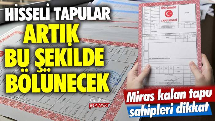 Hisseli tapular artık bu şekilde bölünecek! Miras kalan tapu sahipleri dikkat