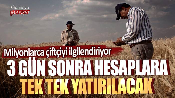 Milyonlarca çiftçiyi ilgilendiriyor: 3 gün sonra hesaplara tek tek yatırılacak