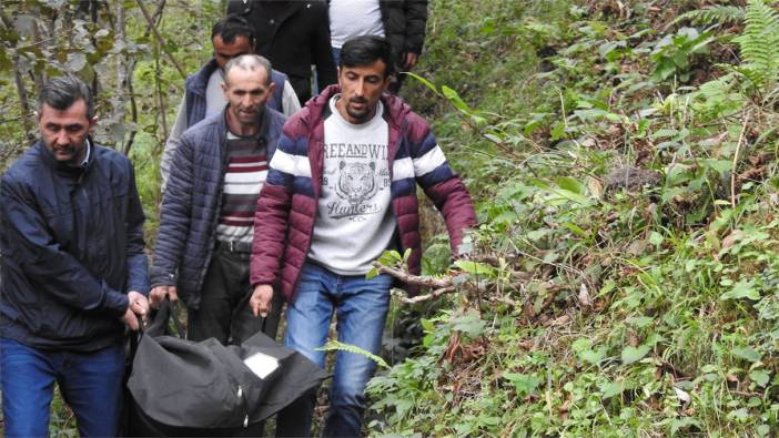 Giresun'da üzerine ağaç düşen kadın hayatını kaybetti