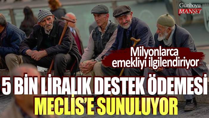 Milyonlarca emekliyi ilginlendiriyor! 5 bin liralık destek ödemesi Meclis'e sunuluyor...