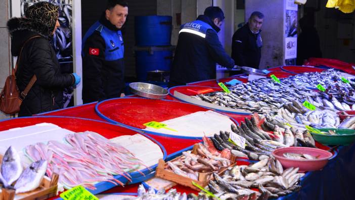 Bilecik'te balıkçı tezgahları denetlendi