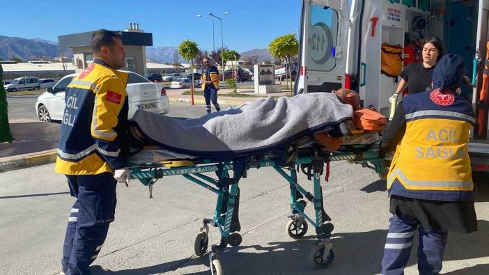 Erzincan'da ayı saldırısına uğrayan çiftçi hastanelik oldu