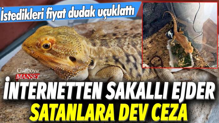 İnternetten sakallı ejder satanlara dev ceza: İstenilen fiyat dudak uçuklattı