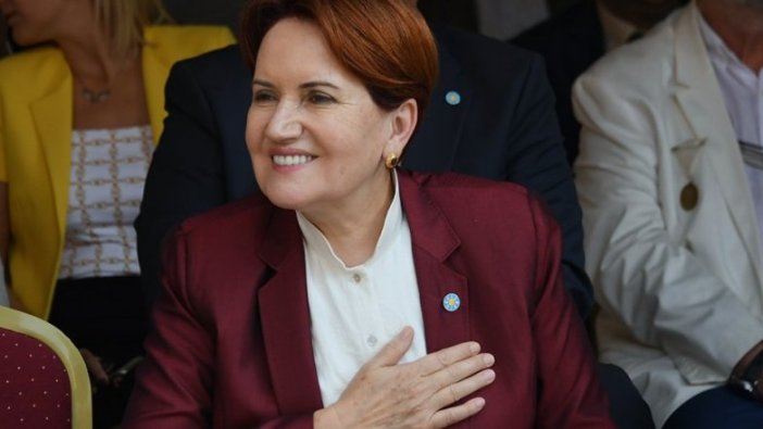 Meral Akşener'den Susurluk paylaşımı