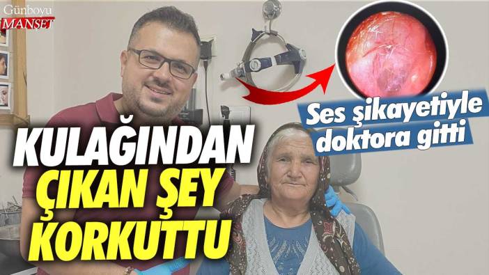 Ses şikayetiyle doktora gitti:  Kulağında yuva yapan canlı örümcek korkuttu