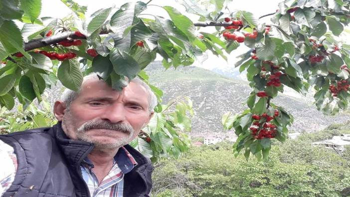 Kış için odun yapayım derken canından oldu