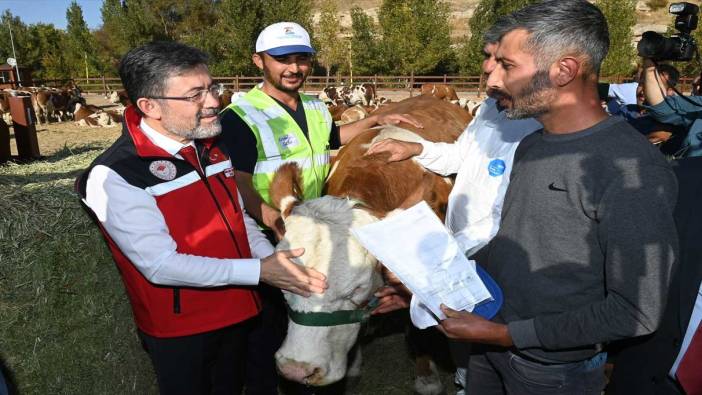 Malatyalı depremzedelere büyükbaş hayvan desteği