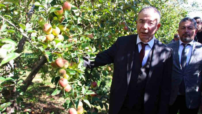 Amasya Valiliği elma için özel projeler planlayacak