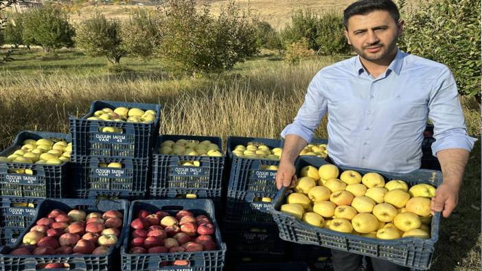 30 yıl önce İran’dan getirdiği meyve ağaçlarından ton ton ürün alıyor