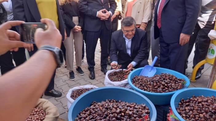 Sinop'ta festivalde tüketilen kestane açıklandı