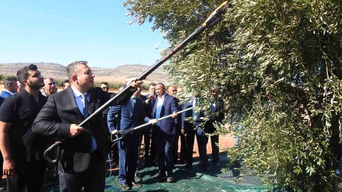 Kilis’te hasat başladı