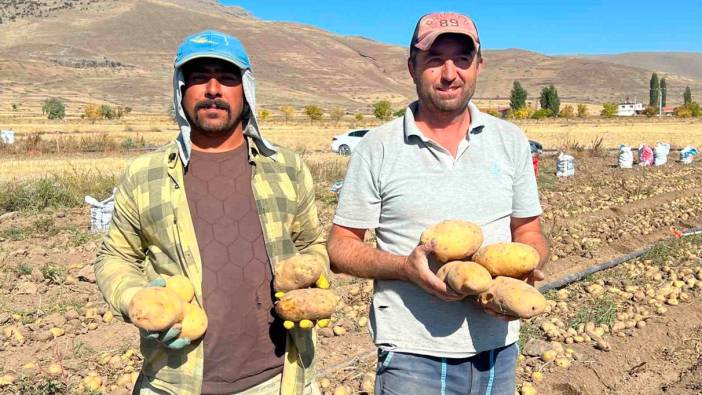 Nevşehir’de patates hasadı başladı