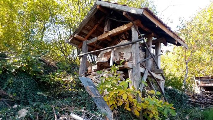 Kastamonu'da aç kalan ayılar arı kovanlarına zarar verdi