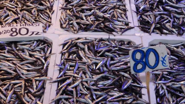 Hamsinin fiyatı inişli çıkışlı seyrediyor