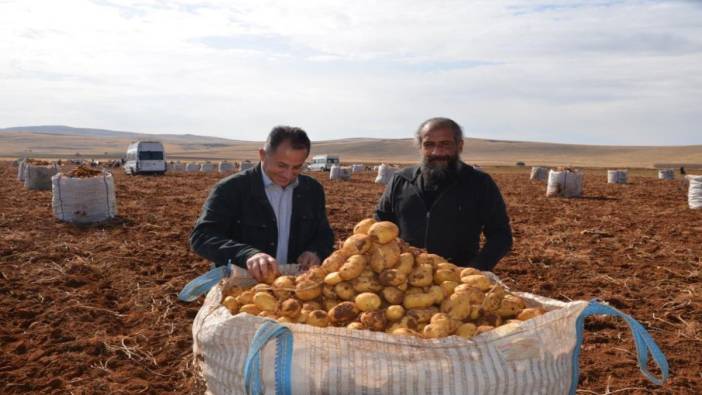 Malatya’da patates hasadı başladı