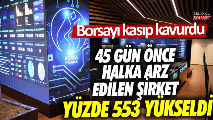 Borsayı kasıp kavurdu! 45 gün önce halka arz edilen şirket yüzde 553 yükseldi