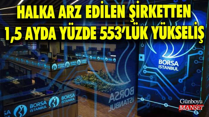 Halka arz edilen şirketten 1,5 ayda yüzde 553’lük yükseliş
