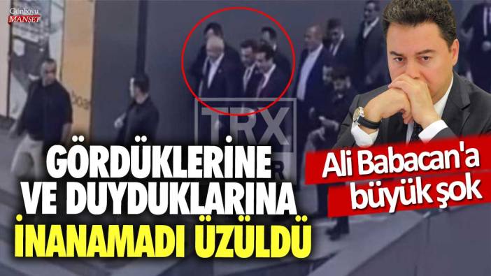 Ali Babacan'a büyük şok! Gördüklerine ve duyduklarına inanamadı üzüldü