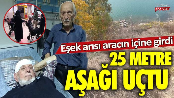 Amasya’da eşek arısı aracın içine girdi! 25 metre aşağı uçtu