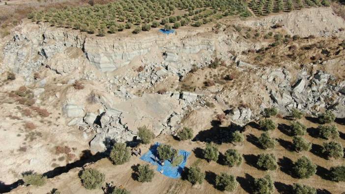 Fay hattının ortadan ikiye ayırdığı bahçede tedirgin eden hasat başladı