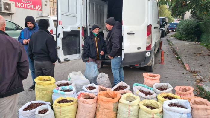 Kestane için pazarda borsa kurdular