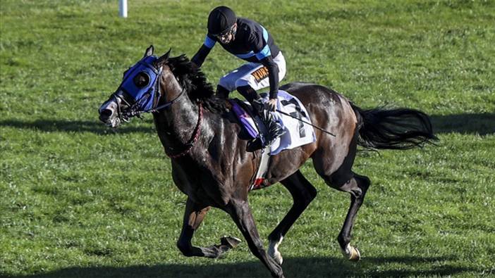 At yarışlarında Cumhuriyet Koşusu ve Cumhurbaşkanlığı Koşusu, Ankara'da yapılacak